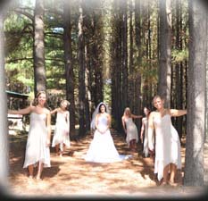 outdoor wedding site with rental cabins for guest