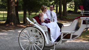 tennessee outdoor wedding carriage