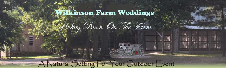 outdoor wedding and event site