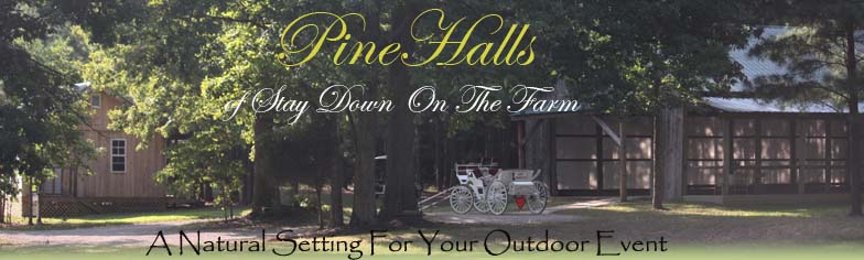 outdoor wedding and event site